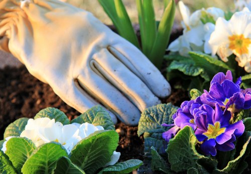 Professional soft landscaping work suited to Canary Wharf properties and managed developments