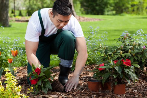 Supplier compliance review and audit documents for responsible sourcing