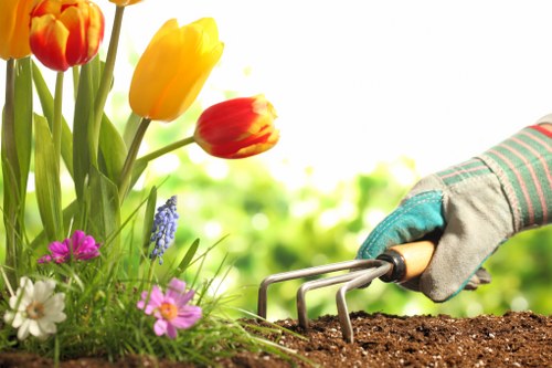 Local landscaping process for Canary Wharf properties with access planning and installation