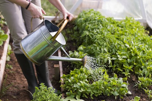 Landscaping pricing breakdown for balconies, terraces, and commercial spaces